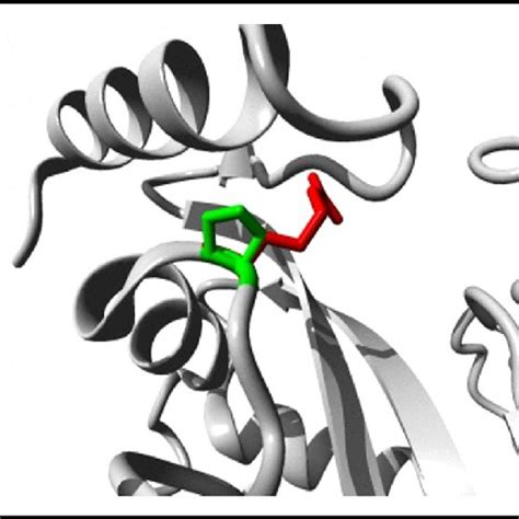 Image result for Methylation Reaction in Post Translational Modification
