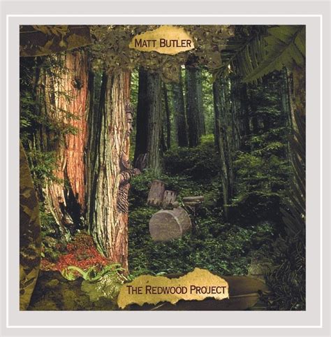 The Redwood Project: Matt Butler: Amazon.in: Music}