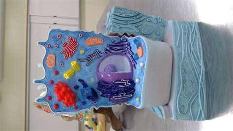 Image result for Cell Basic