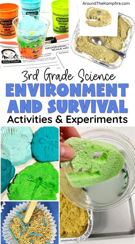 3rd Grade Science Experiments 的图像结果