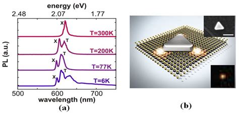 Principle and Applications of the Coupling of Surface Plasmons and Excitons