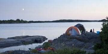 Mosquito Repellent, Insect & Pest Control Products | Mortein IN | Mortein