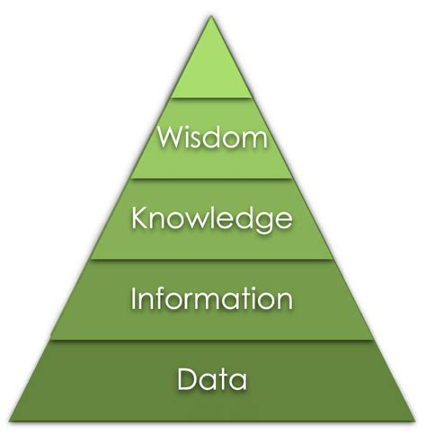 Image result for Pyramid of Knowledge