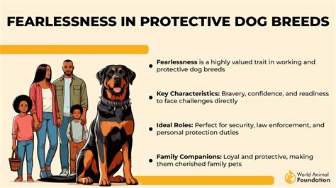 7 Loyal Dog Breeds Often Seen As Human Bodyguards