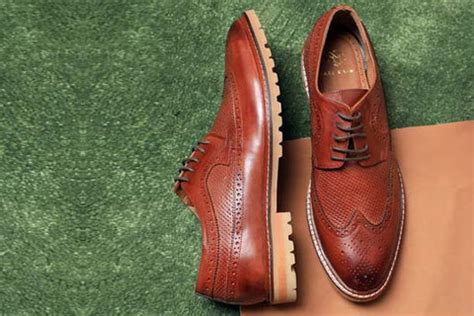 7 Essential Reasons Why Men Brogue Shoes are a Must-Have – Zoom Shoes India