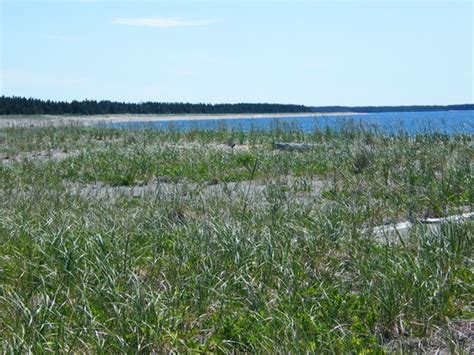 Havre St. Pierre Photos - Featured Images of Havre St. Pierre, Quebec ...