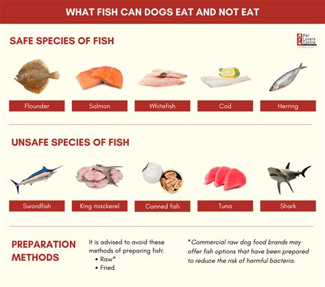 Can Dogs Eat Fish: Benefits, Risks, and Safe Serving Tips