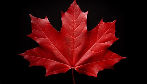 Canada 的图像结果