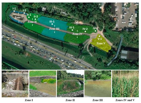 Spatial Changes in Microbial Communities along Different Functional ...
