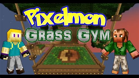Image result for Pixelmon Mod Biomes