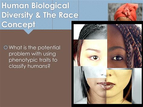 Race 的图像结果