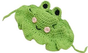 Lyla Costume for Dog Price in India - Buy Lyla Costume for Dog online ...