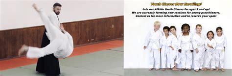 Aikido Lessons Free 的图像结果