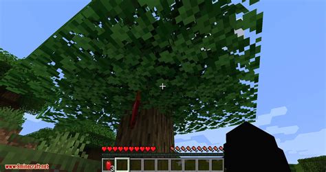 Timber Mod 1.16.5 的图像结果