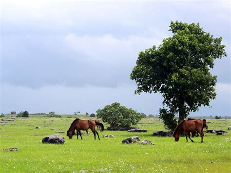 SUMBA GUIDE (2026) All You Need to Know BEFORE You Go (with Photos ...