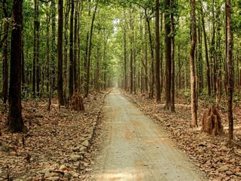 Social Activist Starts Online Campaign Against Uttarakhand CM's ...