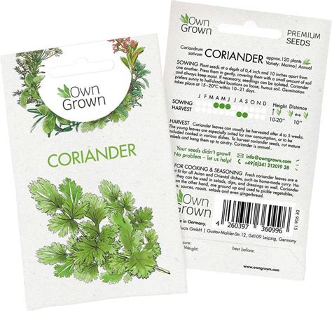 CYBEXIS Coriander Seeds (Coriandrum sativum)1400 Seeds Seed Price in ...