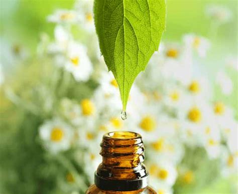 AOS Products - Essential Oils Manufacturer & Exporter
