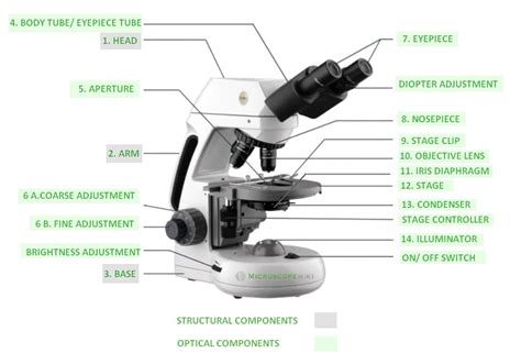 Compound Microscope Parts Labeled 的图像结果