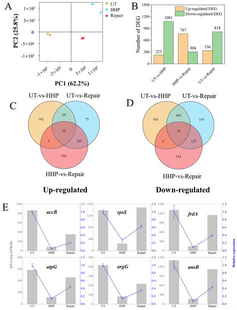 Integrative Physiological and Transcriptome Analysis Reveals the ...