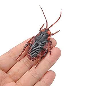 Buy Wizme Set of 2 Rubber Halloween Cockroach Toys for Kids and Adults ...