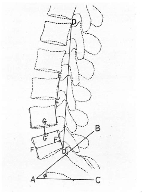 Disk Problem 的图像结果