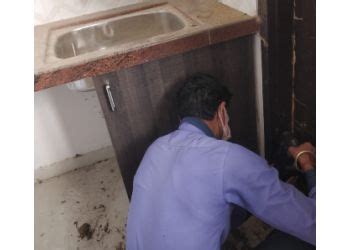 3 Best Pest Control Services in Bikaner, RJ - ThreeBestRated