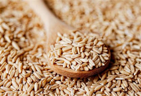 How Oats Are Made: Unveiling the Healthy Process in 5 Steps – Sattvic Foods