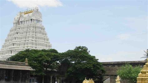 Athi Varadaraja Temple: 40 ವರ್ಷಗಳಿಗೊಮ್ಮೆ ದರ್ಶನ ನೀಡುವ ಅಥಿ ವರಾಧರ, ಇತಿಹಾಸ ...