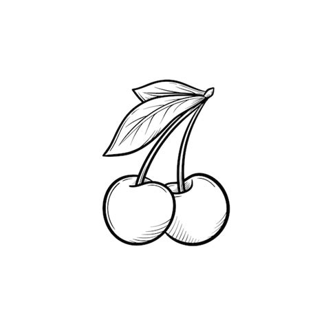 Kirschen Bilder - Kostenloser Download auf Freepik