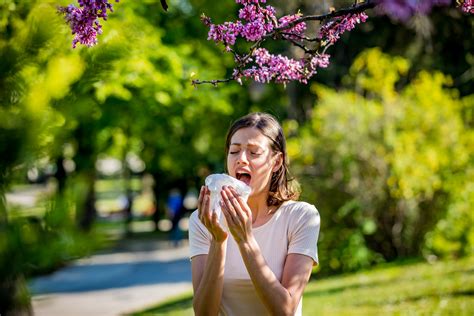 Seasonal allergies: how to stop sneezing
