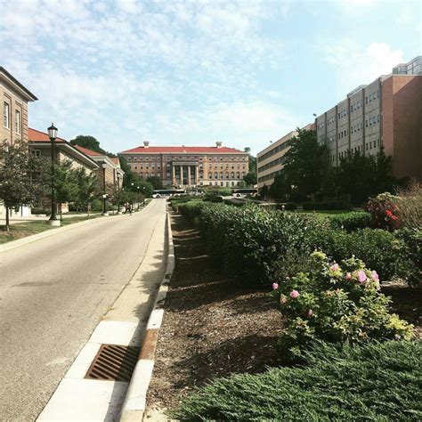 Best Environmental Engineering Degree Colleges in the U.S. | 2025