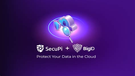 Image result for Secupi Data Classification