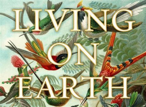Whats So Special About Humans? with Peter Godfrey-Smith, Kepler's Books ...