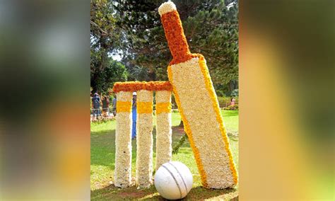 Bowlers help DY Patil Red win title in 18th DY Patil T20 Cup