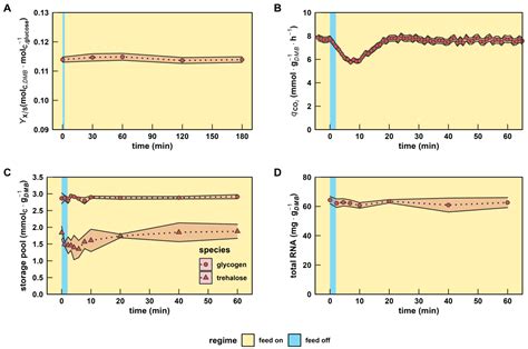Mimicked Mixing-Induced Heterogeneities of Industrial Bioreactors ...