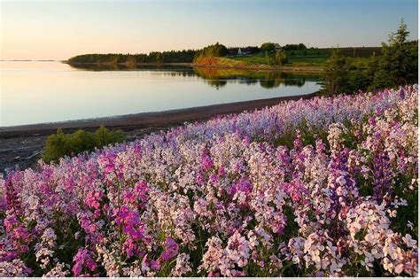 PEI WINERY TOURS (2026) All You Need to Know BEFORE You Go (with Photos ...