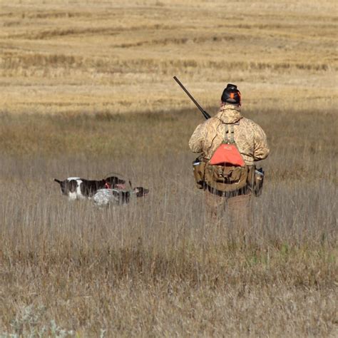 Image result for Patch Pointer C-code