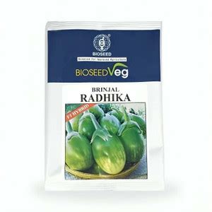 VAN OUSI Halloseed Bagan, Brinjal, Solanum Seed Seed Price in India ...