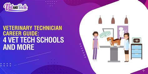 Image result for Vet Tech Courses