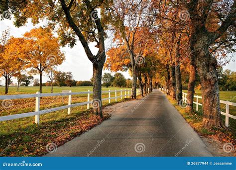 Fall in the Country 的图像结果