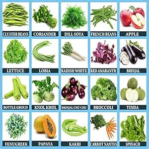 Rosemary 20 Types of Mix Vegetables Seeds Combo With Instruction Manual ...