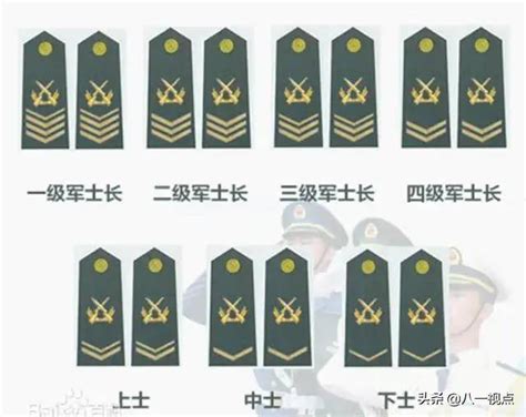 解放军和武警部队衔级制度简史(组图)-特种装备网