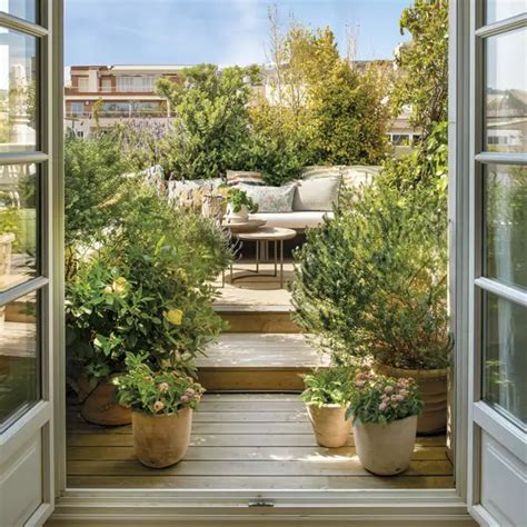 Geranio hiedra (gitanilla): cuidados y diferencias con otros geranios