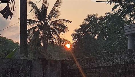 Kariavattom To Explore Kerala's Hidden Natural Gem In 2026