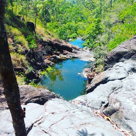 THE 10 BEST Places to Visit in Cardwell (2026) - Must-See Attractions