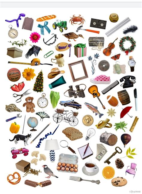 Image result for How Objects Move for Kids