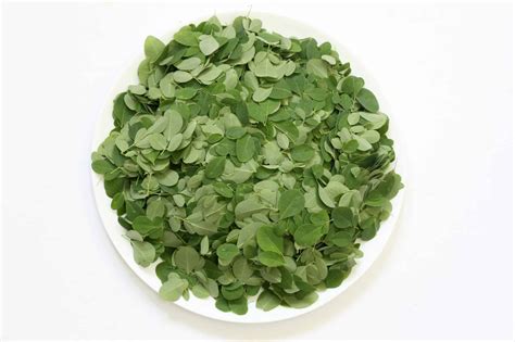 What Does Moringa Taste Like? - Morning Gardens