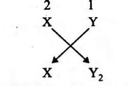 Two elements X and Y have following electronic configurations X: 1s2 ...