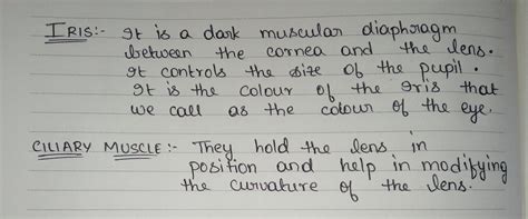 Definition of Iris ciliary muscle - Brainly.in